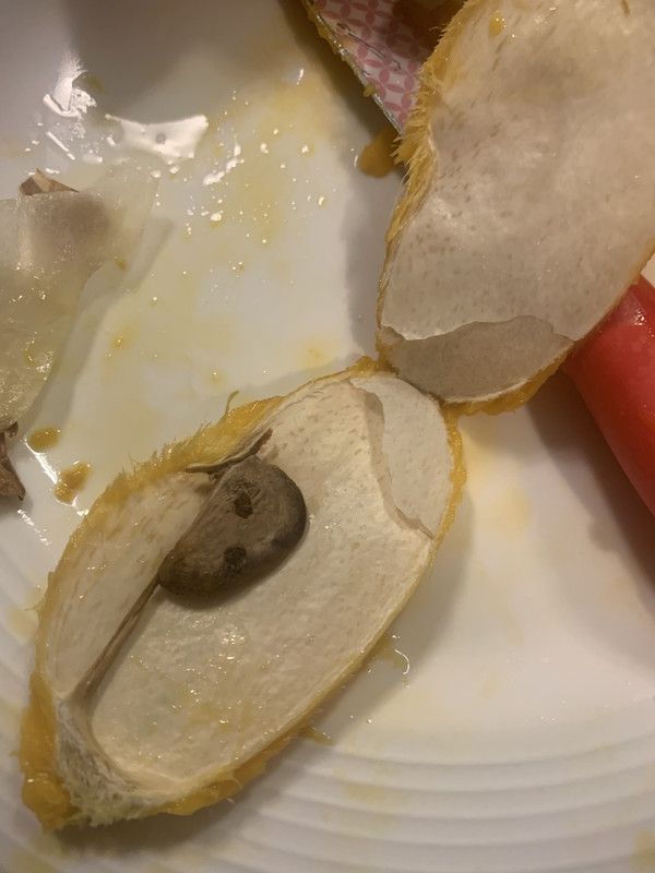 D2B90F84-5349-4F9E-8168-2A3EF79C1863