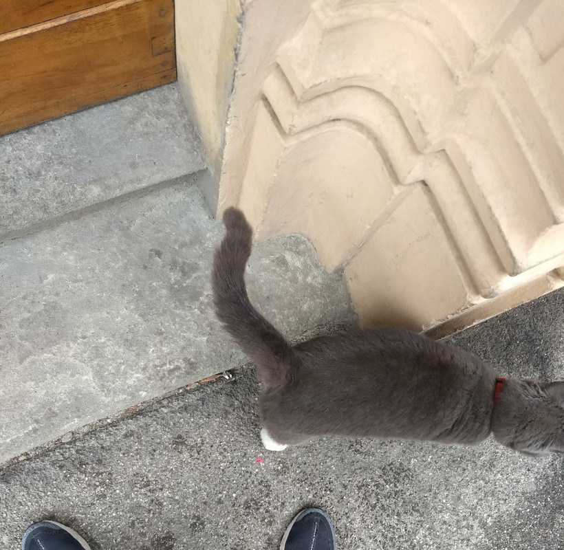 IMG_20221014_124324_142