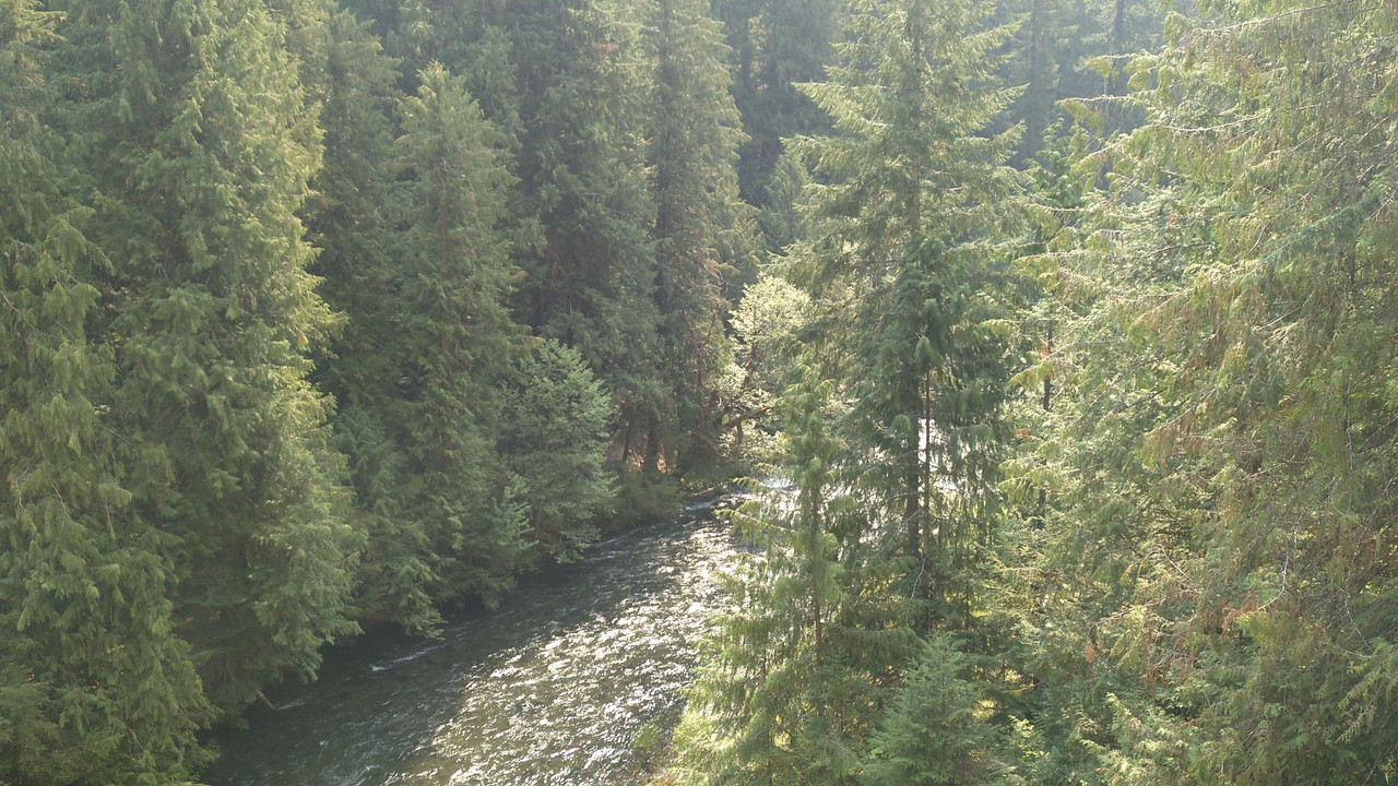 Árboles gigantes, fuegos y volcanes extintos - Oregon y California norte (2018) - Blogs de USA - Zona volcánica de Oregon (26)