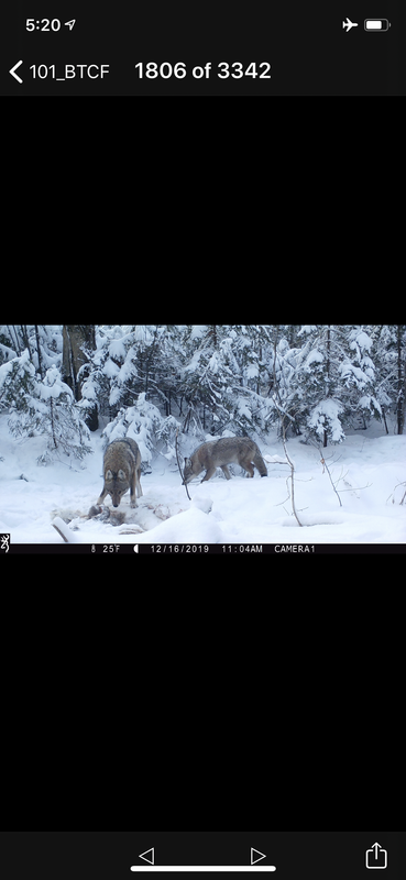 9D5107A4-0BB8-42D0-8360-E4A752FF2E43