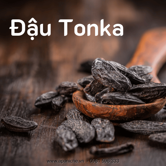 [Image: Dau-Tonka.png]