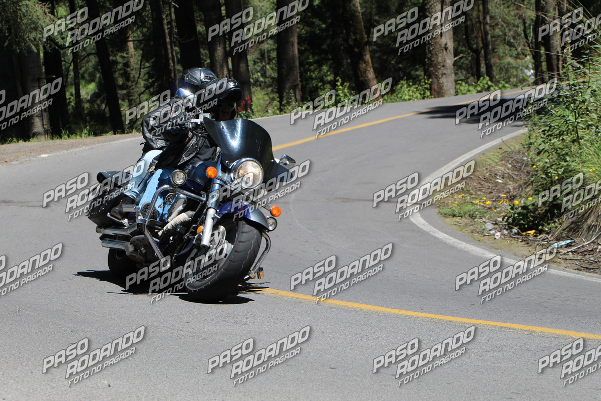 IMG 5969 wm 17809704 5 watermarked — Postimages