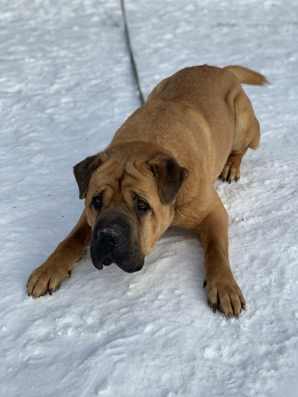 56E50158-6FF9-4F99-B836-41909D5288CA