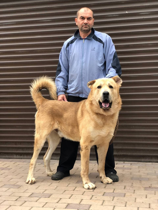 photo_2021-09-23_21-11-42