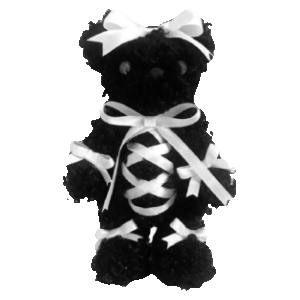 teddy