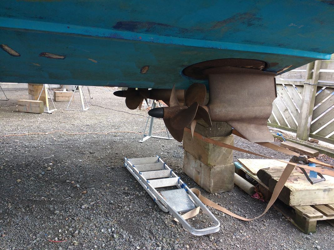 IMG_20201230_131929851