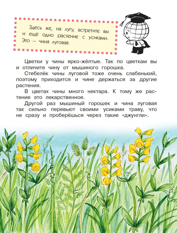 Onegov-Anatolij-Pochemu-kukushka-slozki-lot-page-0042