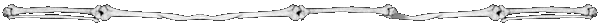 bones1