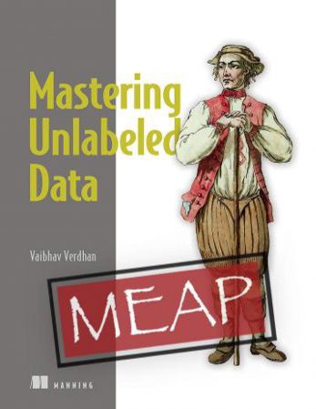 Mastering Unlabeled Data (MEAP V06)