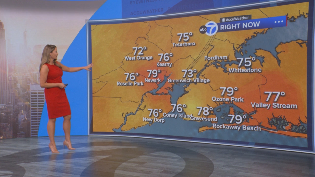 Eyewitness News Mornings at 10_20250704_15001600.ts_snapshot_00.20.16.242