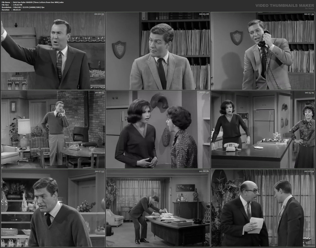 Dick Van Dyke S04E09 (Three Letters from One Wife).mkv