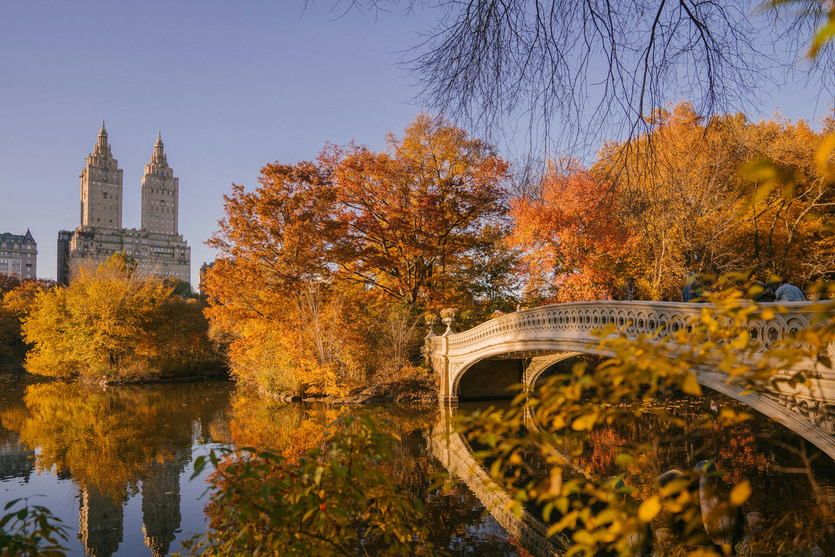 Central Park