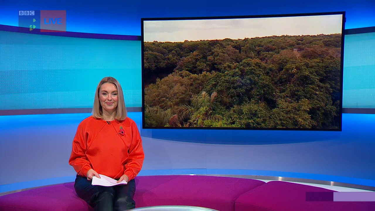 Newsround_20221106_07450750.ts_snapshot_04.46.541