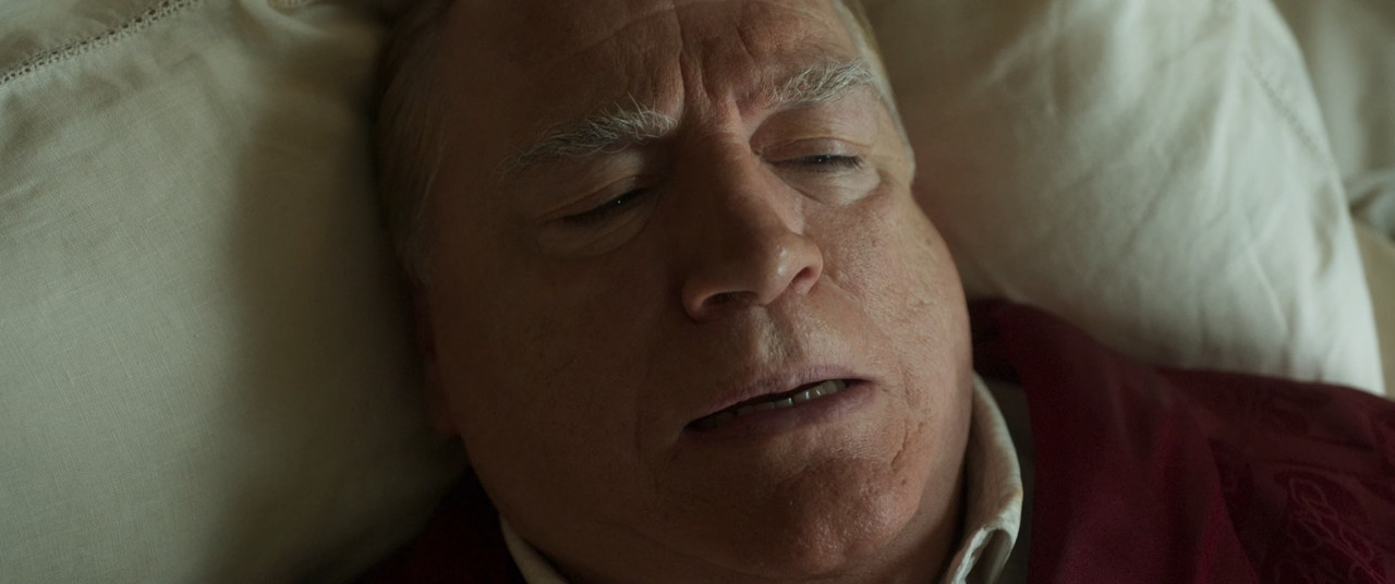 Churchill 2017 (1080p x265 10bit Tigole).mkv_sna