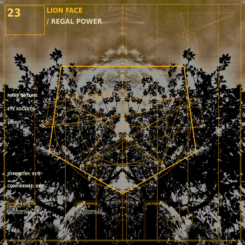 Lion face