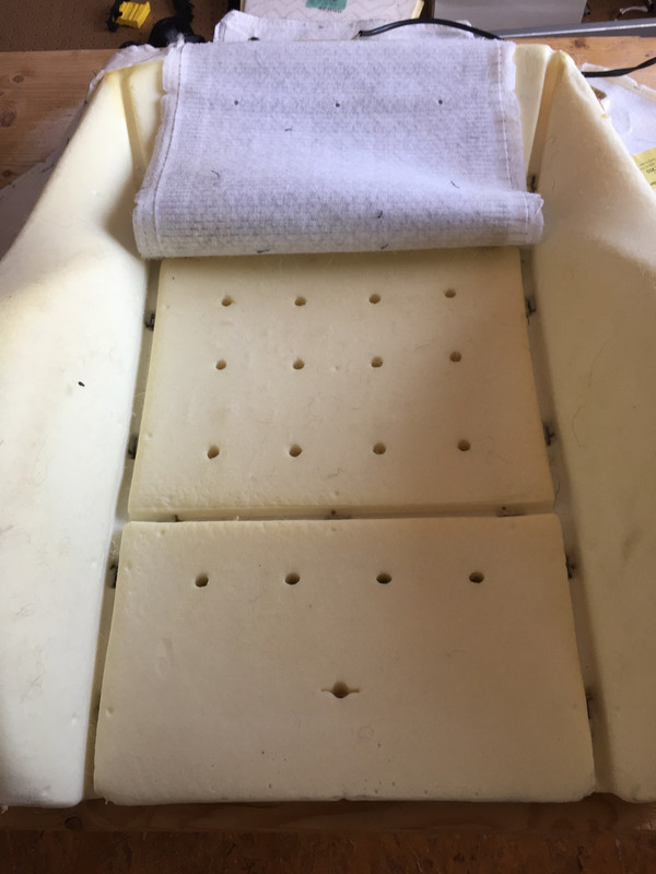 F9295DBF-2582-4F49-8140-7C7B6A3DCE6B