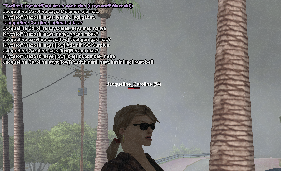 SS1.png