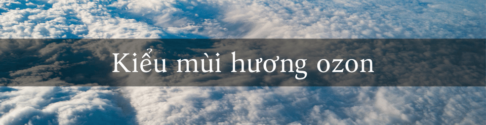 https://i.postimg.cc/65nj3XGL/kieu-mui-huong-ozon.png