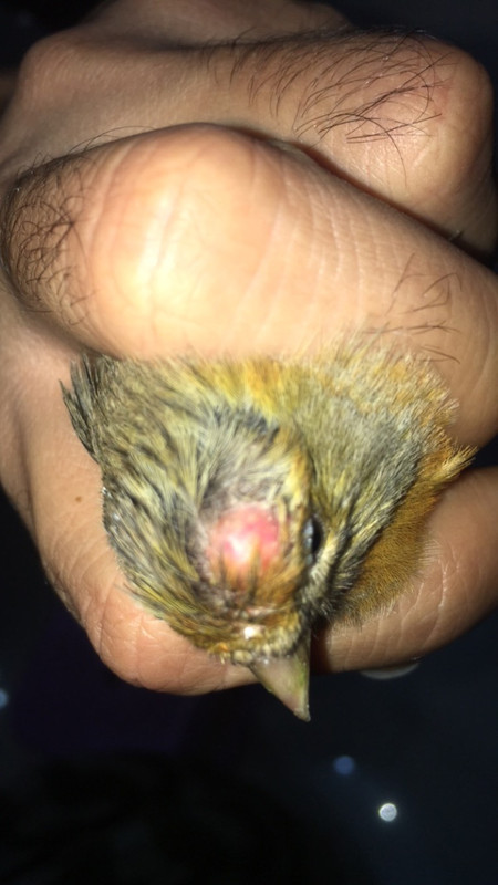 4B3BBC77-4688-40AD-B99F-F320CACACB84