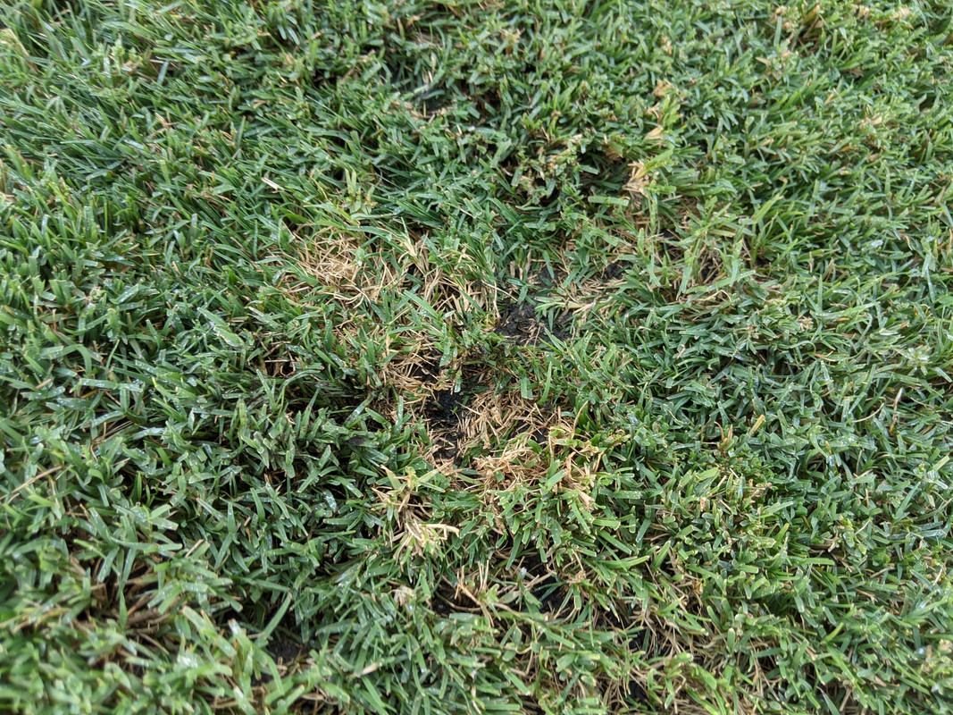 PXL_20200804_205751411.MP