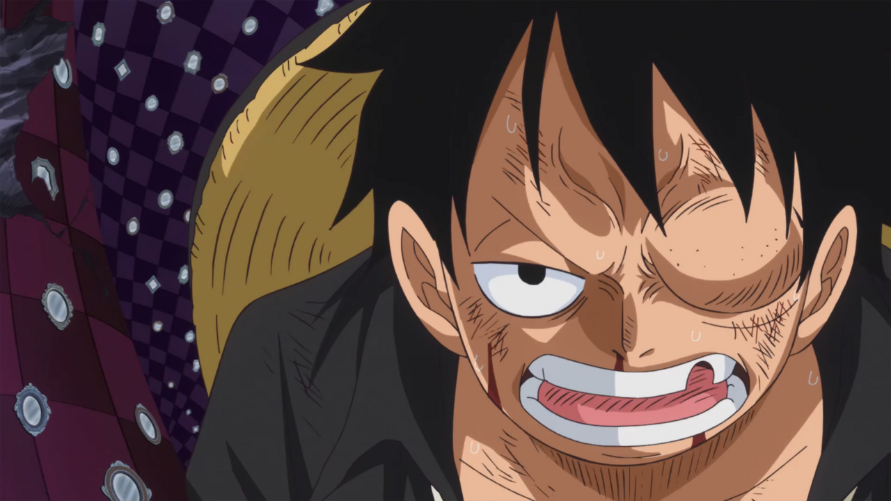 Arukoru-One-Piece-Episode-869-Wake-Up-The-Color-Of-Obser.png