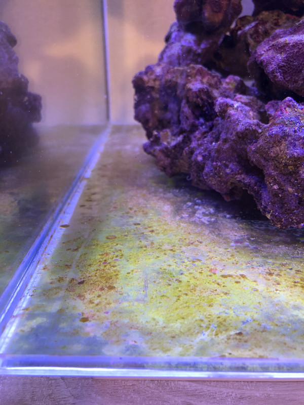 5E655588-D092-4F7F-A517-E6315375ABF5