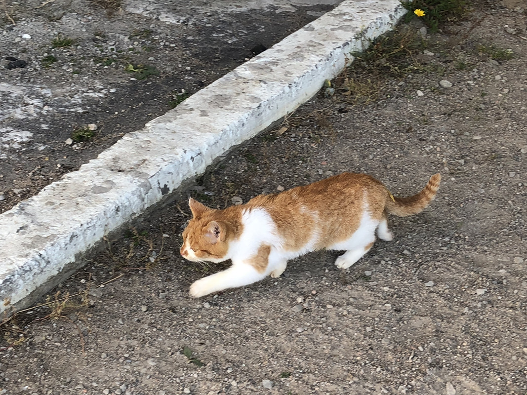 83A23292-0B54-40A0-9FD4-EBFC7DFB9195