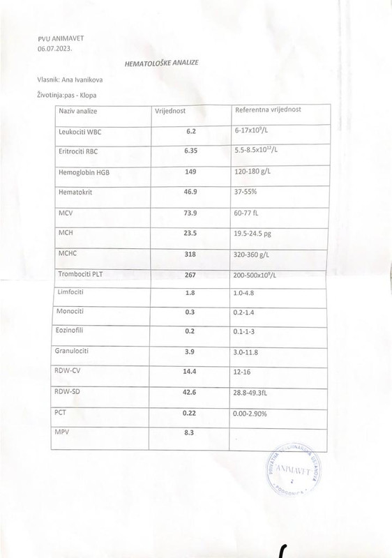 WhatsApp Image 2023-11-28 at 14.39.26