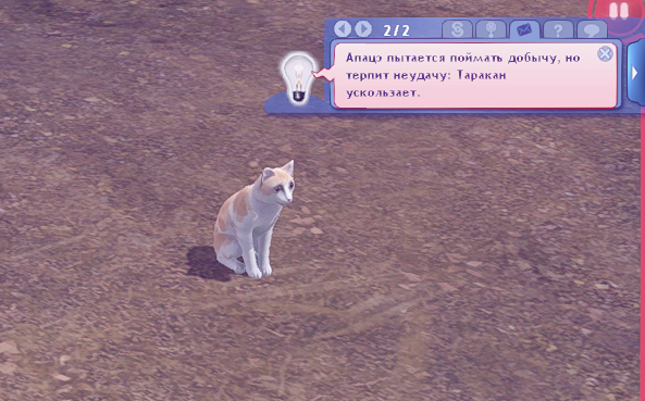 TS3W-2025-02-11-01-54-07.jpg