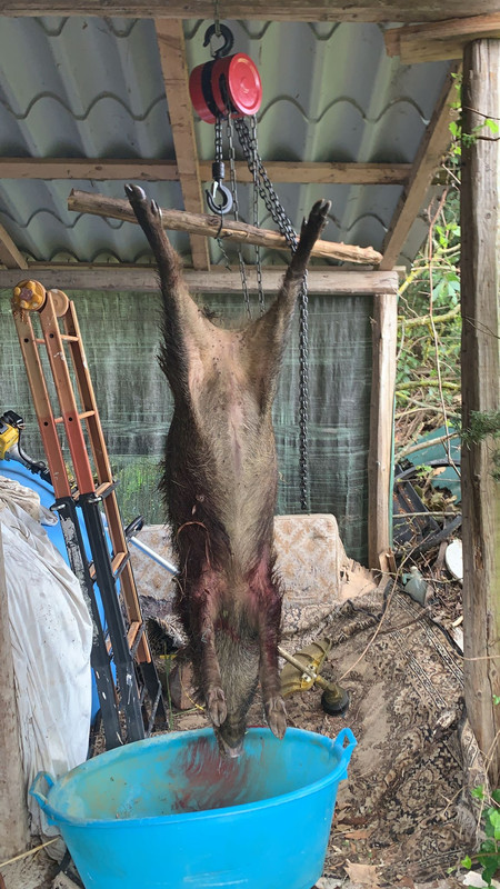 BA07FDEF-FB69-4456-A3AF-10948D7EF668