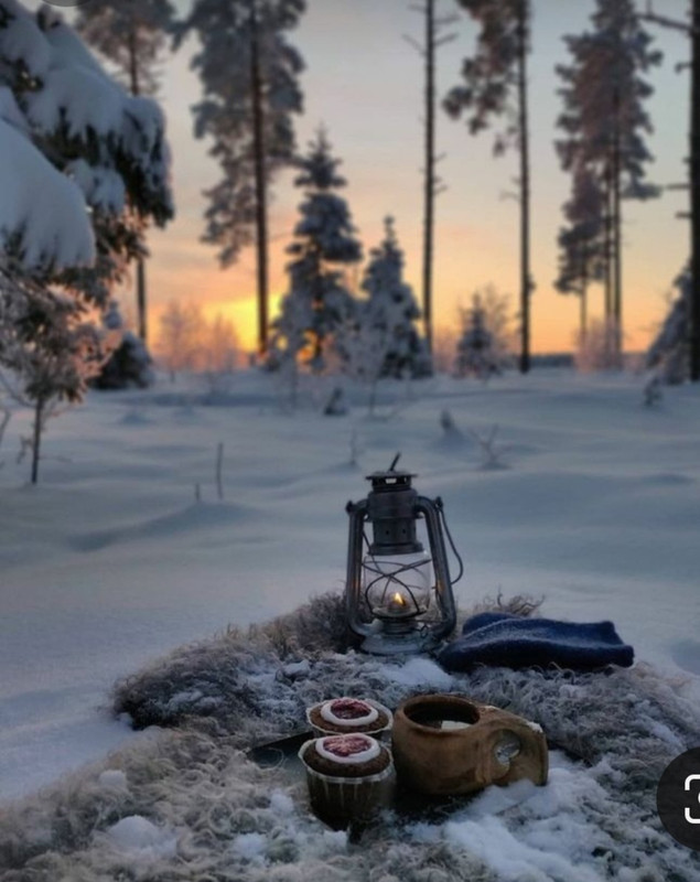 Screenshot_20231111_144506_Pinterest