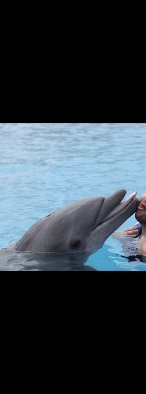 0E1708AE-E03C-4E44-84E2-CD3D0C5BC66D