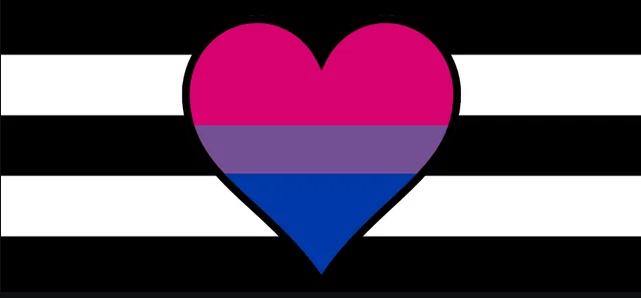 sexuality flag