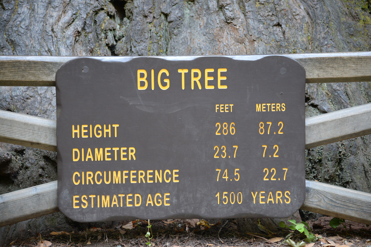 Árboles gigantes, fuegos y volcanes extintos - Oregon y California norte (2018) - Blogs de USA - Rogue River y costa norte de California (16)