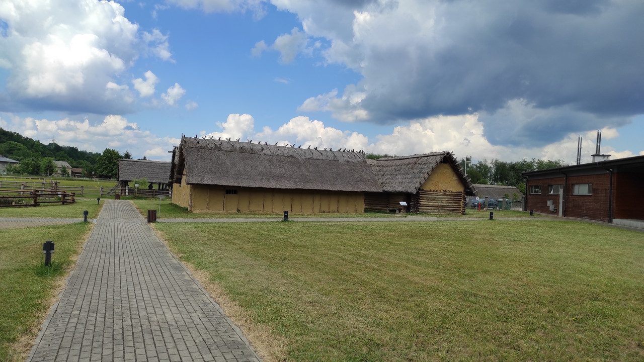 05.14 - IMG_20220617_150556 (Czesio1)