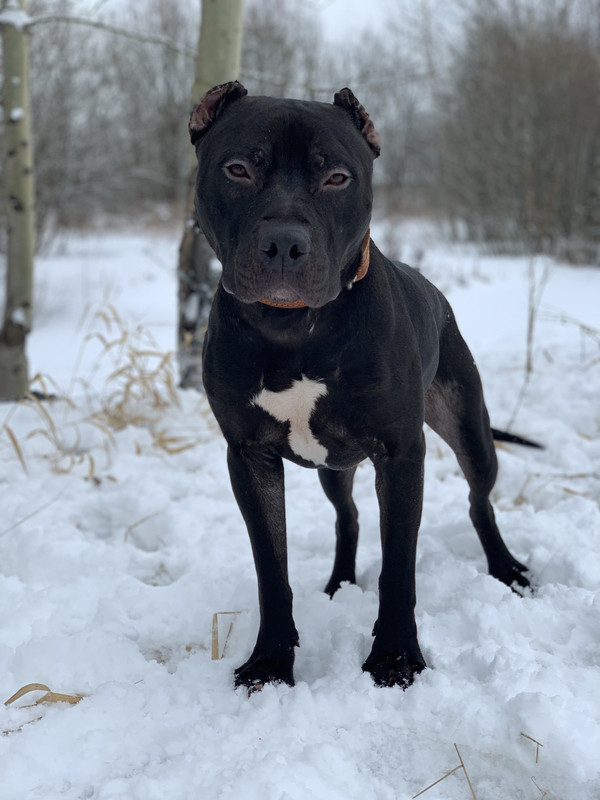 0BF44AA4-8925-429D-B502-BFB87B0D2248