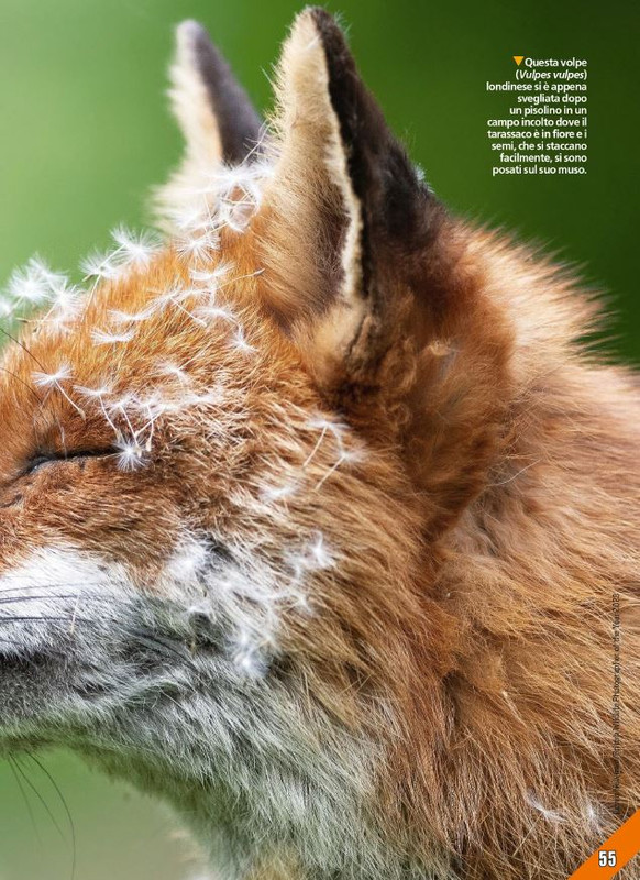 Foc Wil - Ott 2023 (10)