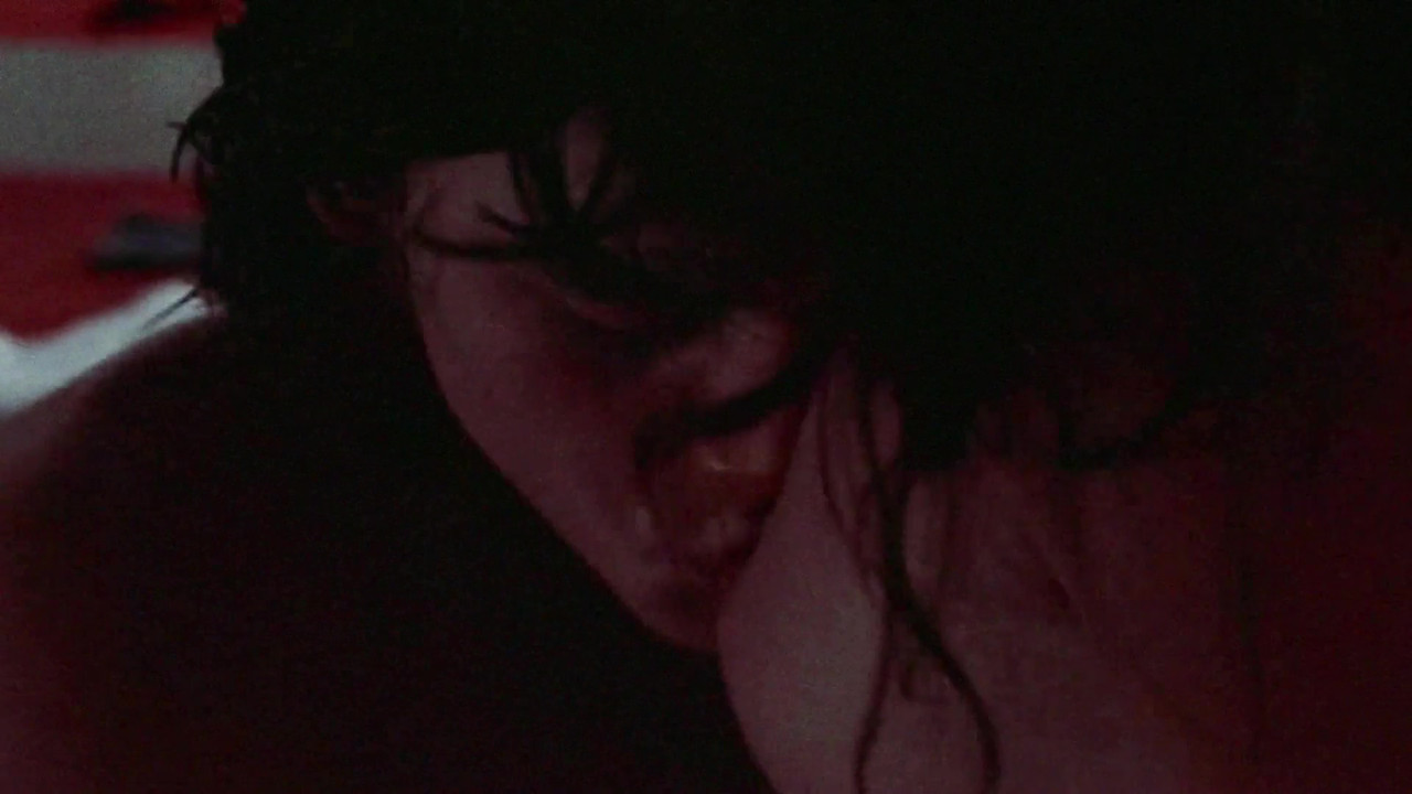 vlcsnap 2026 02 01 23h33m10s697