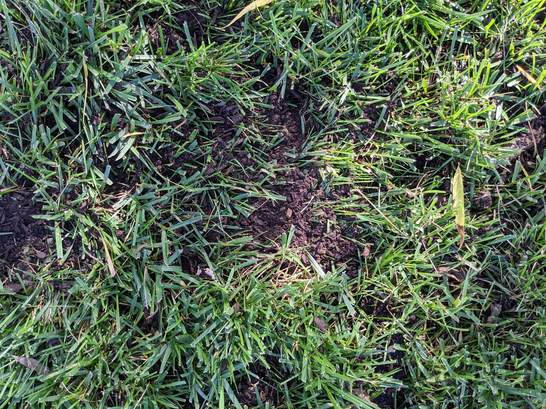 PXL_20210905_215023613