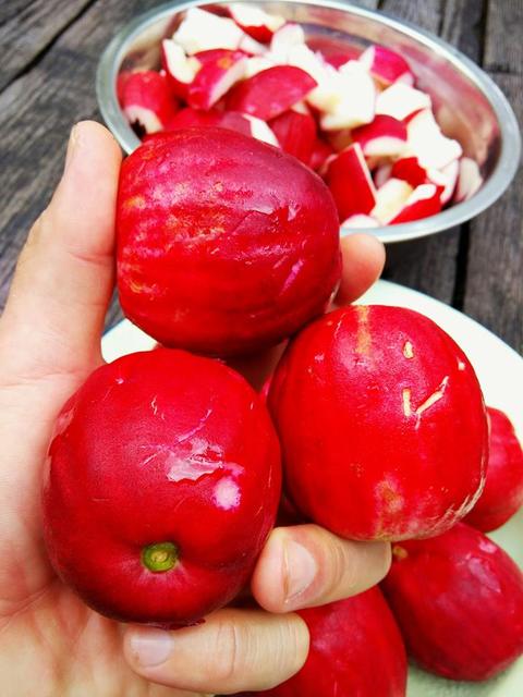 jambu bol