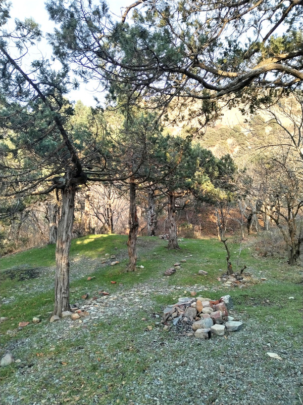 IMG_20240210_163300_edit_122571556758866