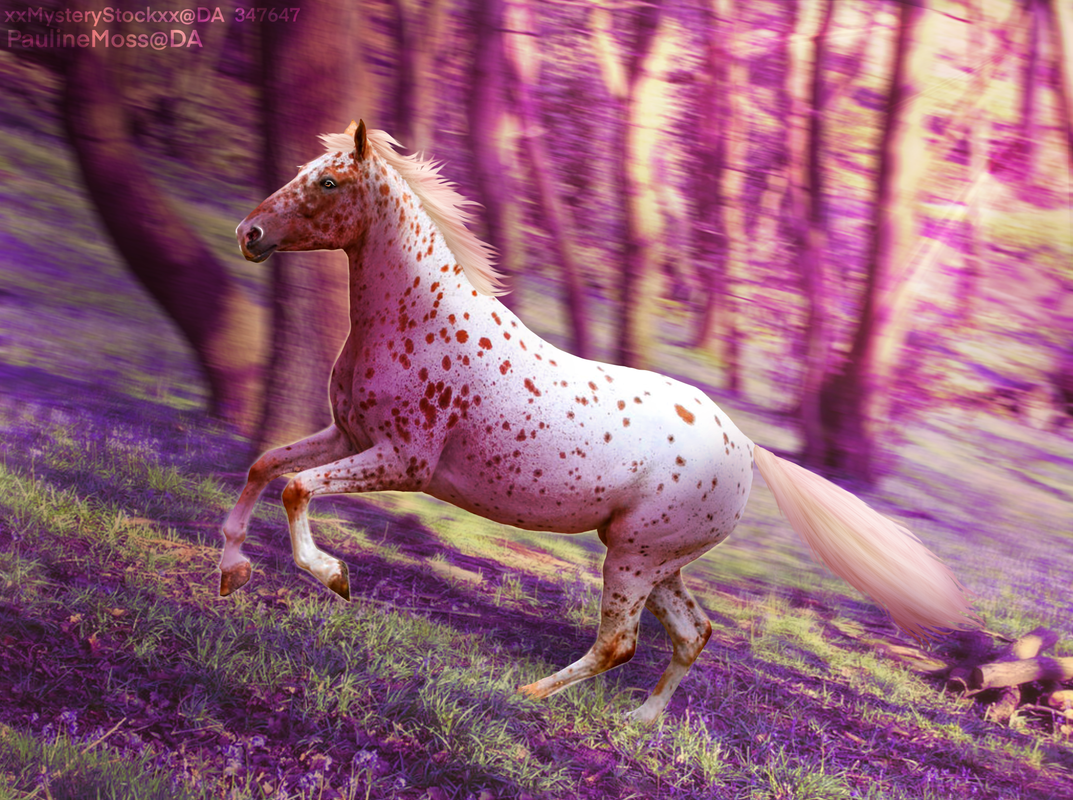 Purple-Appy.png