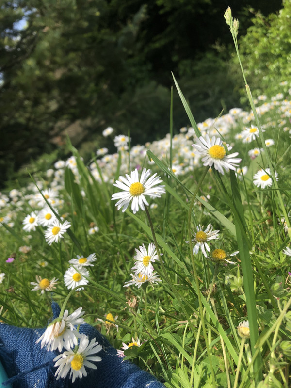 98C62322-7050-4957-978C-D7CCFFB83D03