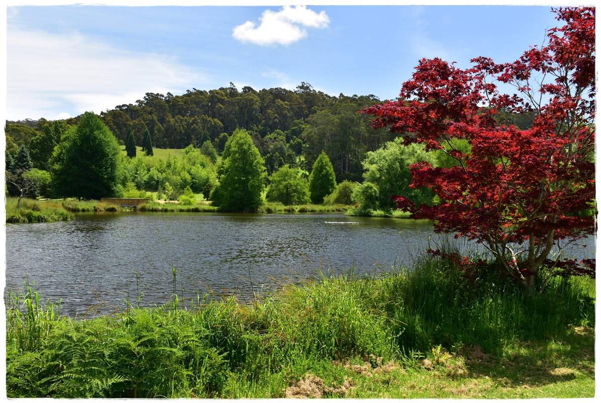 Narawntapu National Park - Australia (II): Recorriendo Tasmania (16)