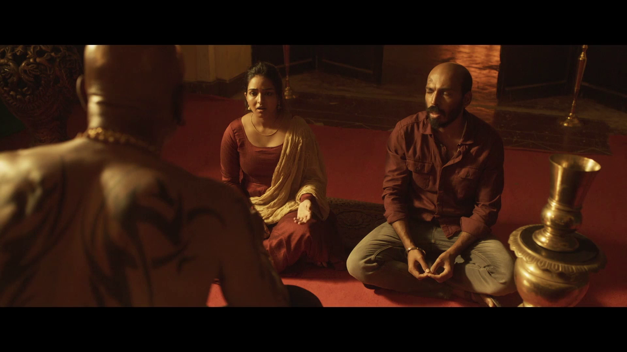 vlcsnap 2026 02 07 21h25m18s087