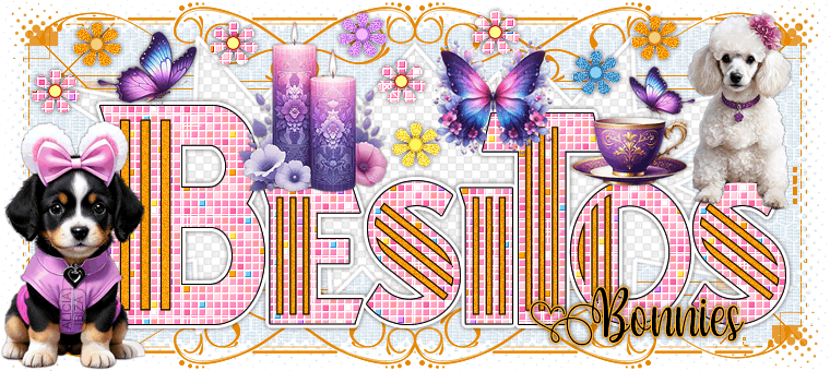 Besos Elegant Pets bonnies