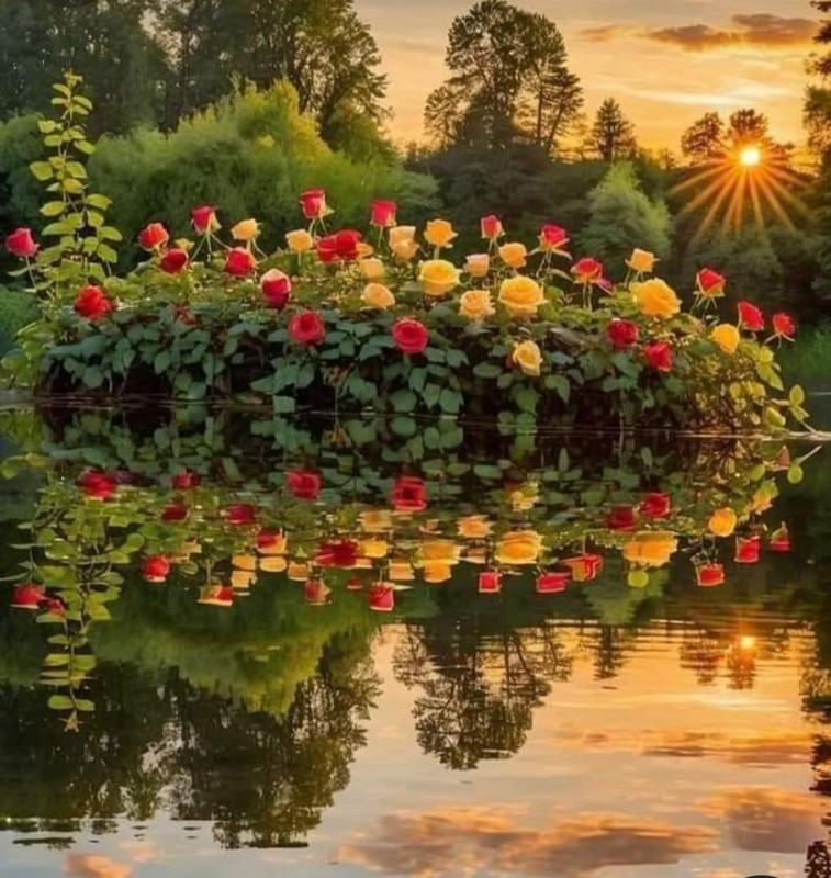 Screenshot_20240601_154341_Pinterest