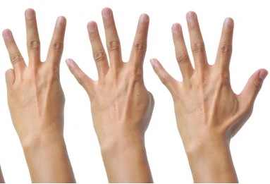 Finger Count Project