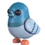 Rock Pigeon