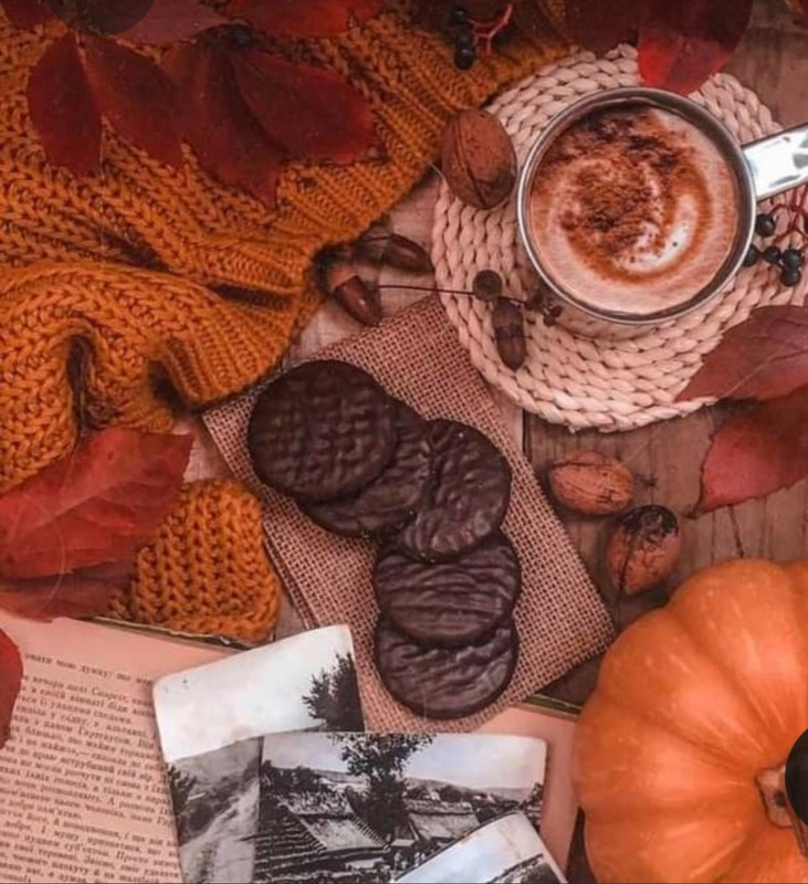 Screenshot_20231008_214028_Pinterest